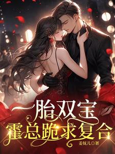 一胎双宝,霍总跪求复合