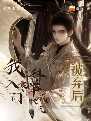 被弃后,我入寒门科举成状元