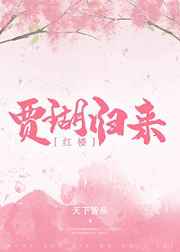 [红楼]贾瑚归来